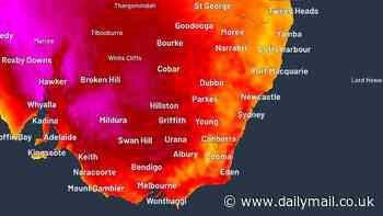 Weekend weather: Victoria, South Australian and Northern Territory set to swelter through a heatwave this weekend