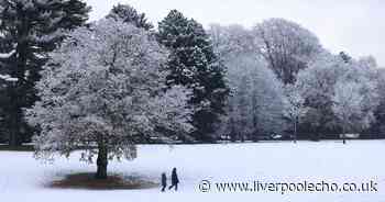 UK snow warning as temperatures expected to fall as low as minus 8C as week-long cold snap hits UK