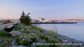 Blick aufs Meer: Sport im Bayfront Park in San Francisco