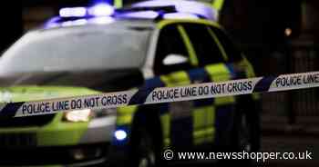 Two arrested after police chase ends with men climbing up roof in south east London