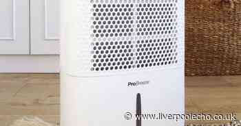 Debenhams cuts 46% off 'quiet' 5p per hour dehumidifier that 'clears out mould'