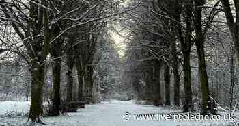 I tried one of the 'best walking trails' in Liverpool and it was even more stunning in the winter sunshine