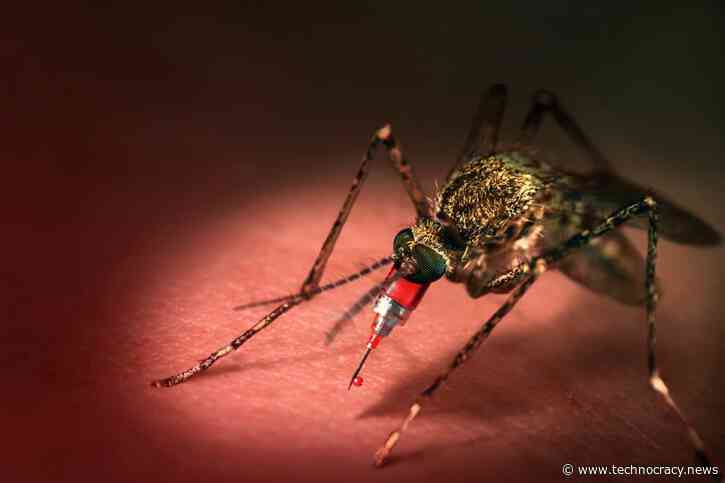 GMO Mosquitoes As Flying Syringes To Deliver Vaccinations