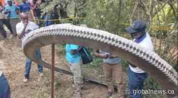 Massive piece of space debris falls on remote village in Kenya