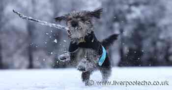 When heavy snow will hit Liverpool as Met Office issues rare amber warning