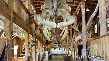 Museum of whale skeletons, painstakingly rebuilt over years, consumed by B.C. fire