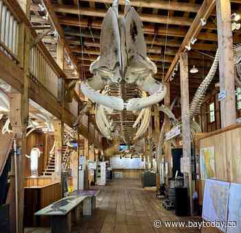 Museum of whale skeletons, painstakingly rebuilt over years, consumed by B.C. fire