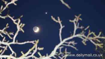 Out of this world! Venus dazzles in the night sky above the moon during an unusual cosmic phenomena TONIGHT