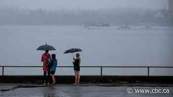 Vancouver's wet 2024 offers little relief to rest of B.C. as drought persists