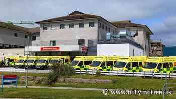 NHS emergency as hospital declares a 'critical incident' with patients left to queue outside A&E in ambulances