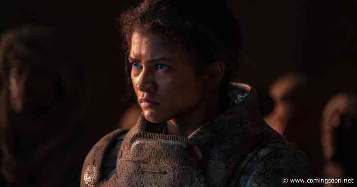 Zendaya Suffered Heatstroke While Filming Dune: Part Two