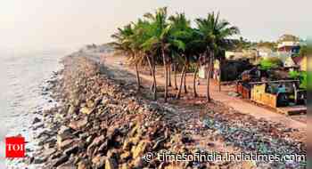 MHA: India's recalculated coastline up 48% in 53 years