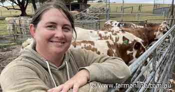 SA farmers reviving heritage dairy breed