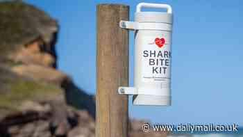 The $60 item popping up on Aussie beaches that could save your life