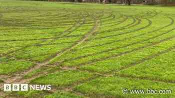 Club devastated as children's pitches vandalised