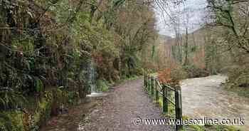 The tranquil river walk just off a motorway junction with rare birds and a snuggly country pub to finish