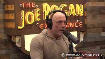 Joe Rogan's blunt view of Hawk Tuah girl Haliey Welch's failed meme coin