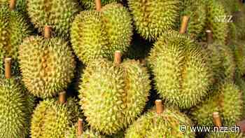 Durian-Boom in China: Skrupellose Händler machen mit der Stinkfrucht das grosse Geld