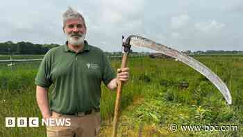 Anger as thieves raid community orchard tool store