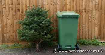 What to do with your real Christmas tree in south east London