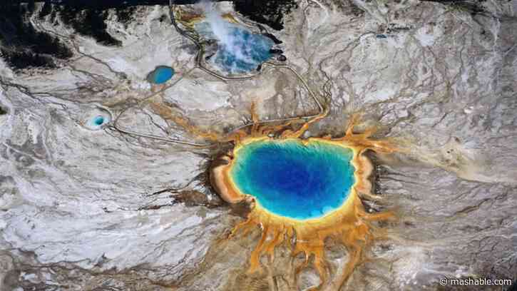 Scientists reveal why the mighty Yellowstone isnt ready to blow