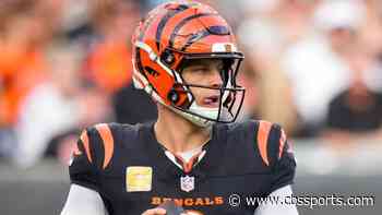 Bengals vs. Steelers odds, line, spread: 2025 Week 18 NFL Saturday picks, prediction by model on 30-14 run