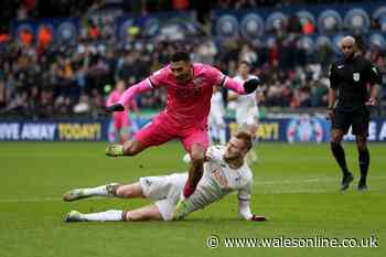 Mixed Swansea City ratings as Harry Darling stands out in West Brom stalemate