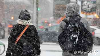 Parts of southern Ontario could see more than 40 cm of snow by Sunday