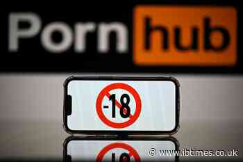 Pornhub Tells Users in Banned US States to 'Stand up for Your Freedom'; Gives Tips on How to 'Fight Back'