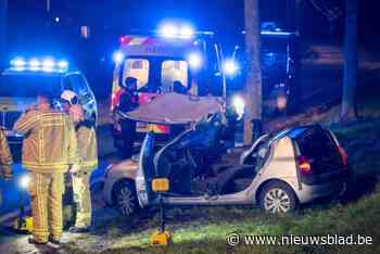 30-jarige man in levensgevaar na crash tegen boom: bestuurder naar het UZA overgebracht