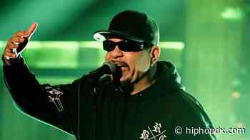 Ice-T Curses Out Cop During Heated Traffic Stop: 'You're A Dumbass!'