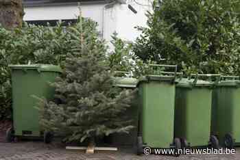 Stad Gent promoot het eten van kerstbomen