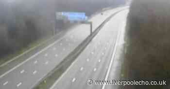 Man found dead on motorway as road closed all day