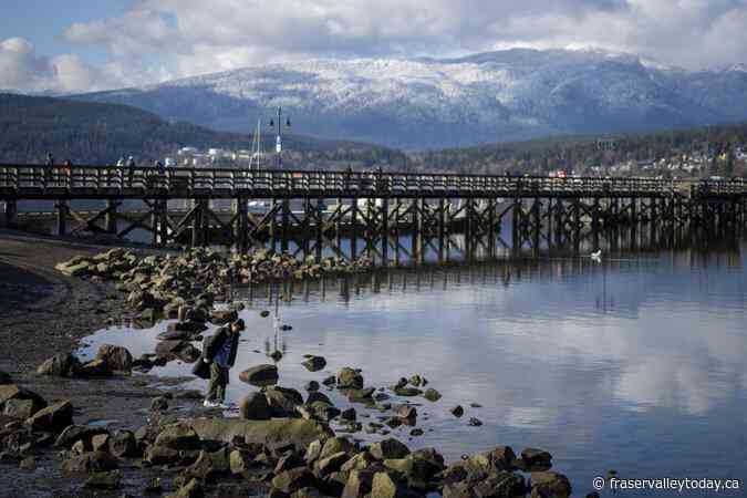 Homicide team investigating death of woman found near a Port Moody, B.C., marina