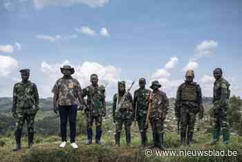 “Rebellen controleren strategisch belangrijke stad in het oosten van Congo”