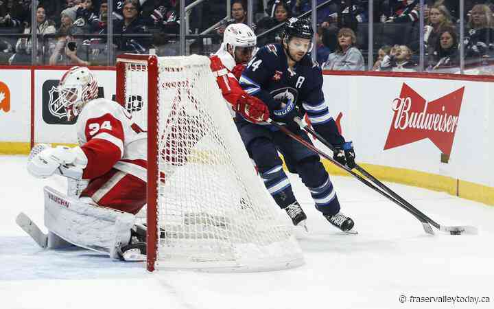 Jets’ defencemen really feel the pain of losing 4-2 to Red Wings