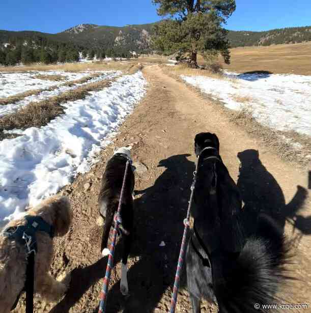 Colorado dog hiking business looking for NM expansion