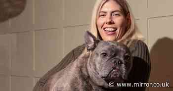 'My French bulldog is absolutely massive - he could be the biggest in the world'