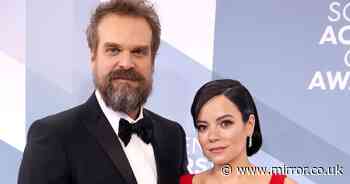 Lily Allen caught David Harbour 'looking for women online' after undercover investigation