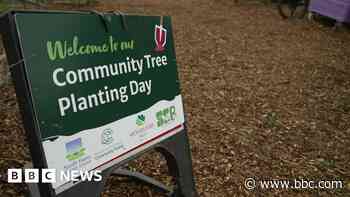 Planting begins on 25,000 tree woodland