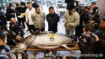 Erste Thunfisch-Auktion in Japan 2025 erzielt hohen Preis