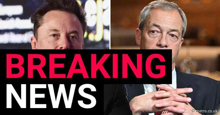 Elon Musk says Nigel Farage ‘doesn’t have what it takes’ to be Reform UK leader