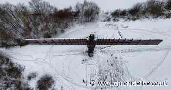 Stunning North East snow pictures show region transformed into winter wonderland