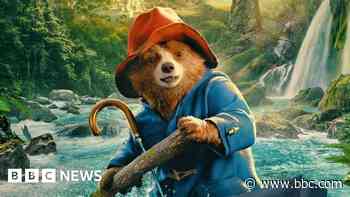 Paddington snubbed by Bafta for new family film award