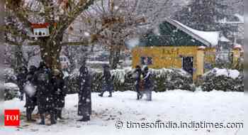 Fresh snowfall in Srinagar, parts of Kashmir; mercury below freezing point