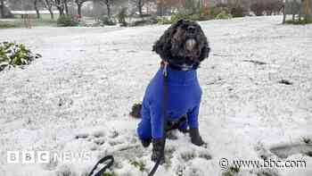 Your pictures of Sunday snow across UK