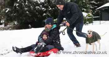 23 pictures of sledging and snowball fights as parts of the North East enjoy the wintry weather