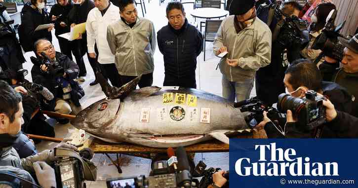 Sushi restaurateurs fork out $1.3m for motorbike-sized tuna at auction in Tokyo