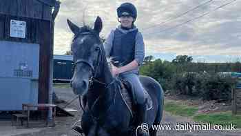 'Poisoning' mystery as police say no evidence of crime after two horses found dead in field