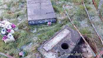 Fury as 'hit-and-run' driver smashes through cemetery damaging headstones - as locals celebrated New Year